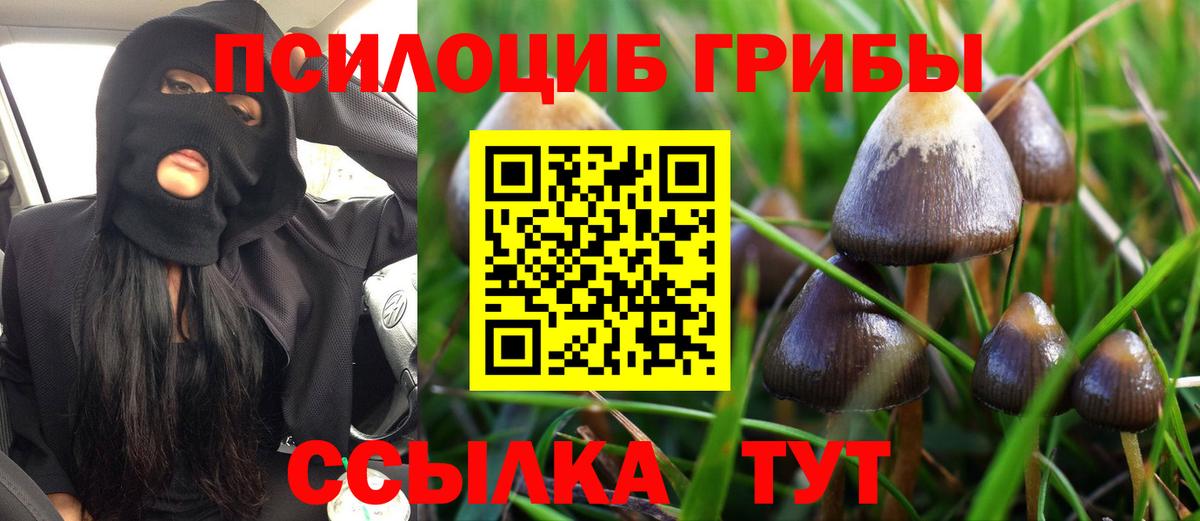 Галлюциногенные грибы мицелий  Псилоцибиновые грибы Psilocybine cubensis  Вход с VPN  Старый Оскол 