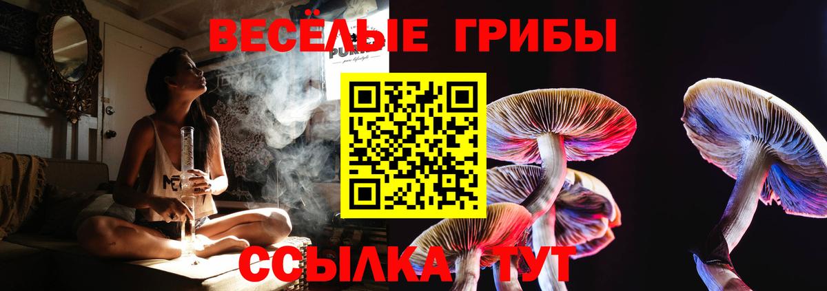 Псилоцибиновые грибы Psilocybine cubensis Старый Оскол
